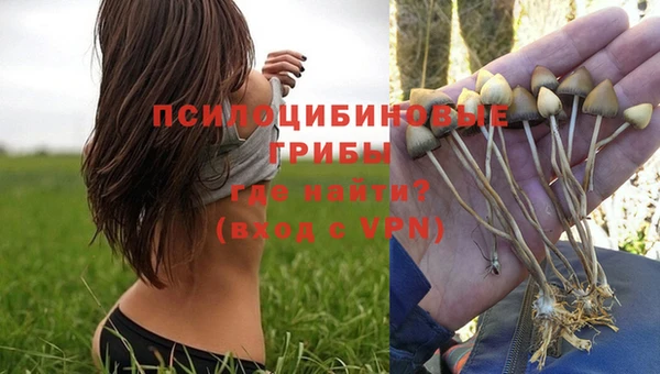 скорость Осинники